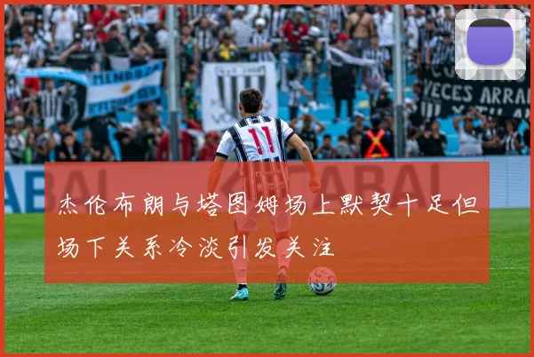 杰伦布朗与塔图姆场上默契十足但场下关系冷淡引发关注